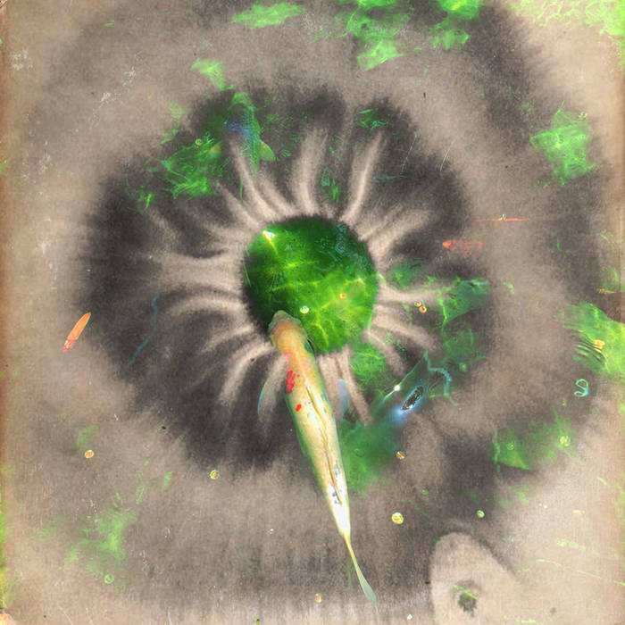 inspectah k - fidelity