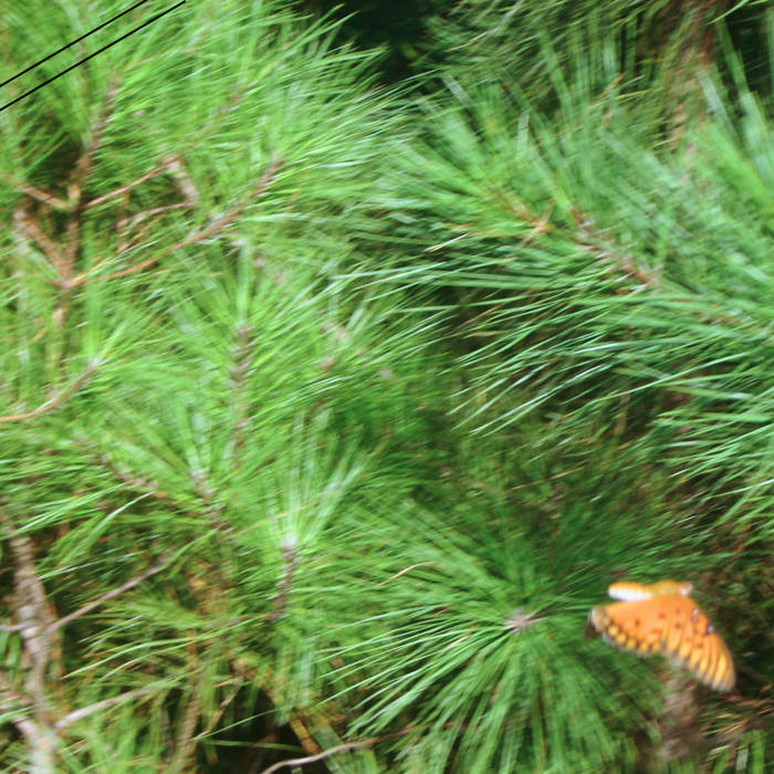 inspectah k - the breeze within