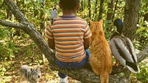 billy woods x Mickey Diamond x Sam Seed - Peter and The Wolf video