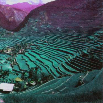 Pangeya - Pangeya