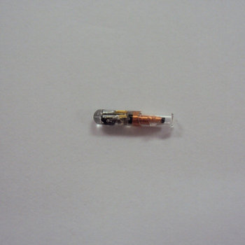 Jalal Salaam - I DON'T TRUST ELECTRONICS