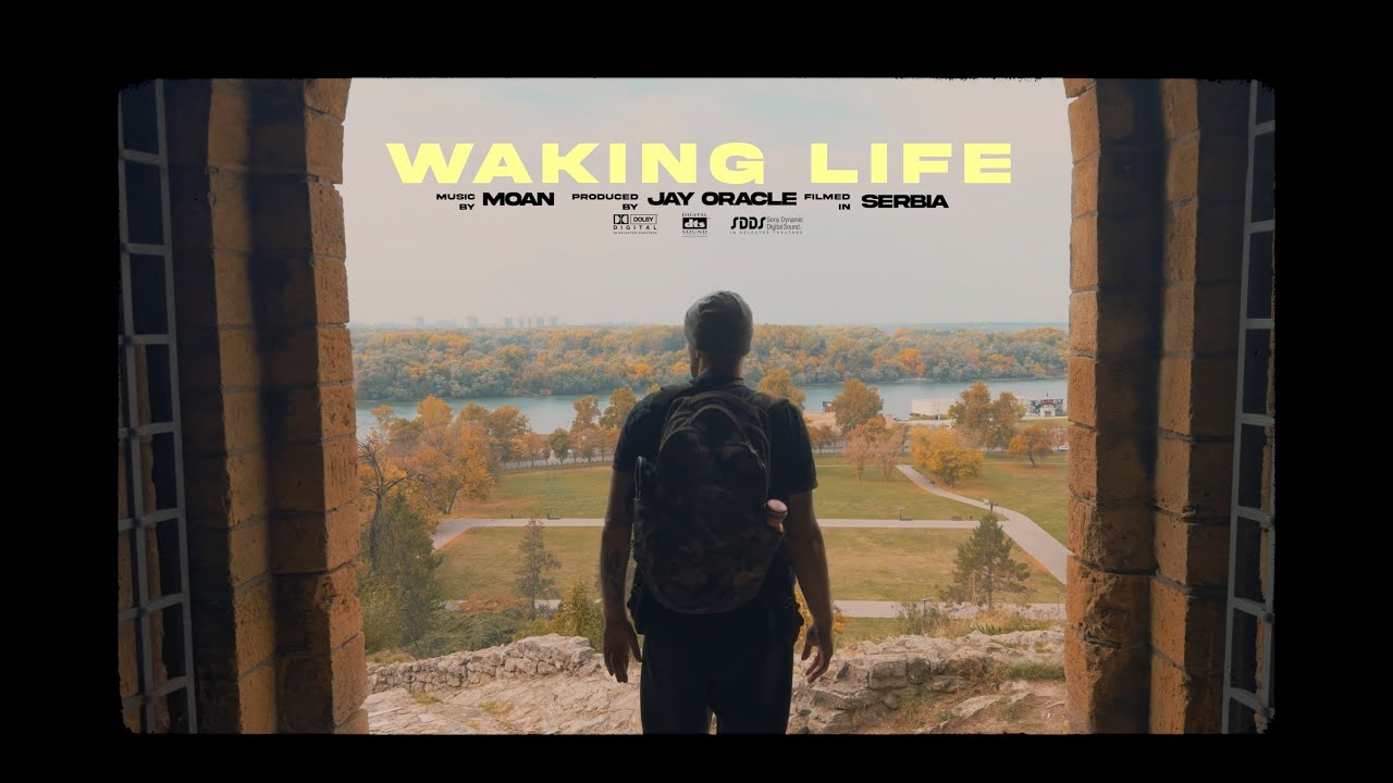 MOAN - Waking Life video