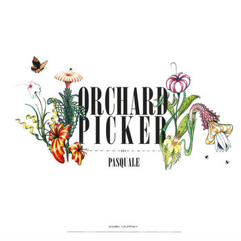 Pasquale - Orchard Picker