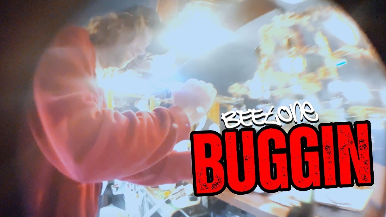 BeeTone - Buggin' video