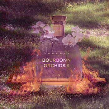noewan - bourbonORCHIDS