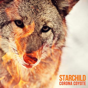 Starchildluke - Corona Coyote