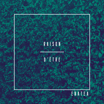 Enatea - Raison d'être Enatea - Raison d'être