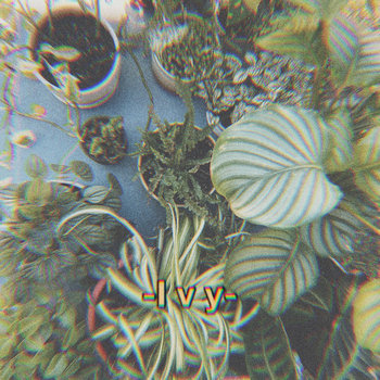 SOLACE - Ivy